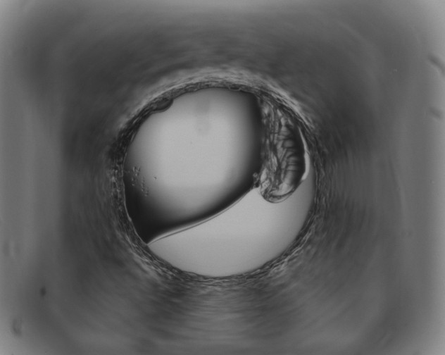 X0000092111496200709121119