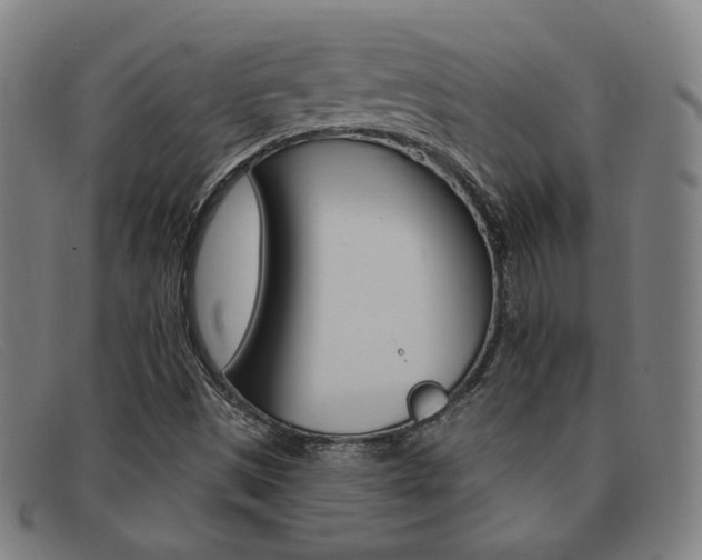 X0000092111497200709121119