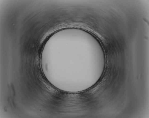 X0000092111498200709121119