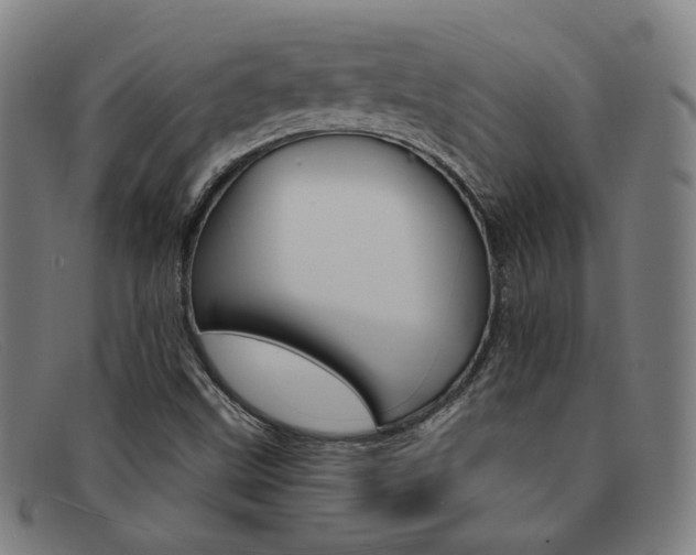X0000092111499200709121119