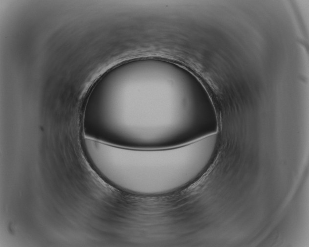 X0000092111500200709121119