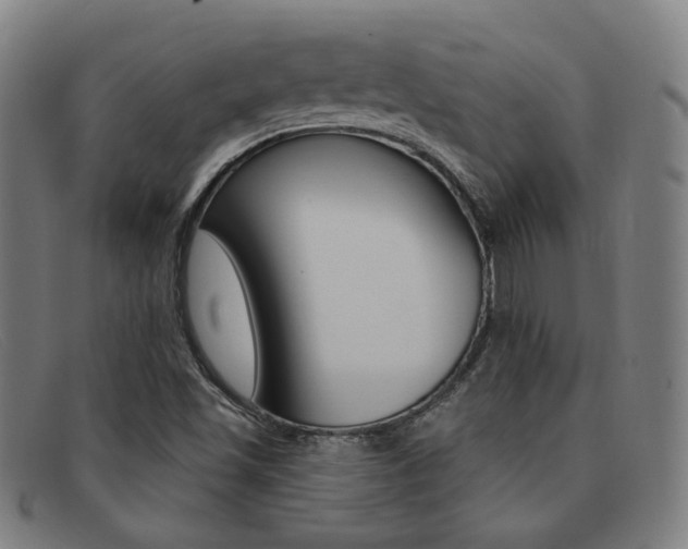 X0000092111501200709121119