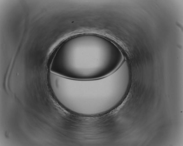 X0000092111502200709121119