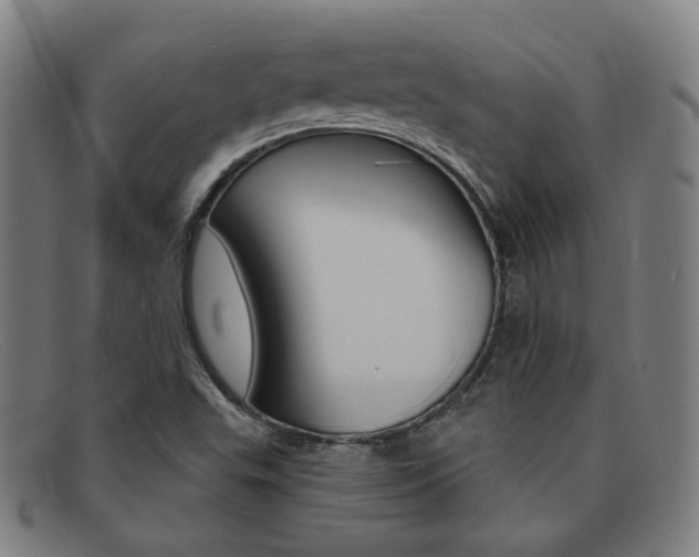 X0000092111503200709121119