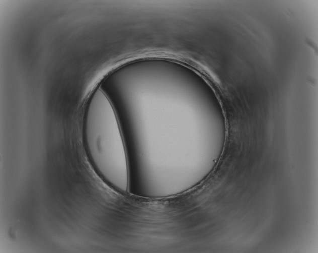 X0000092111504200709121119