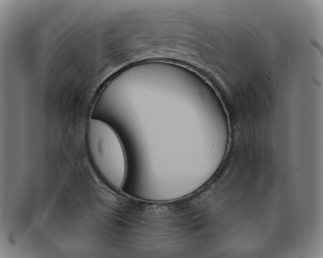 X0000092111505200709121119