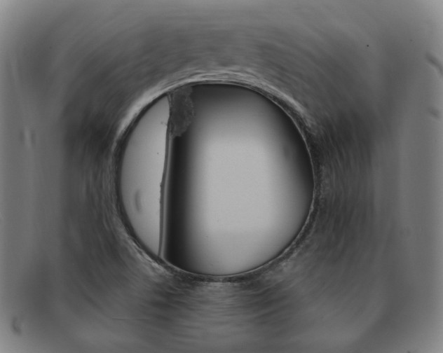 X0000092111506200709121119