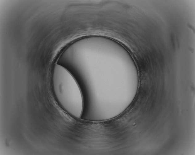 X0000092111507200709121119