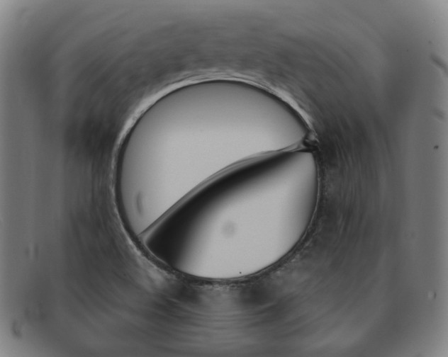 X0000092111508200709121119