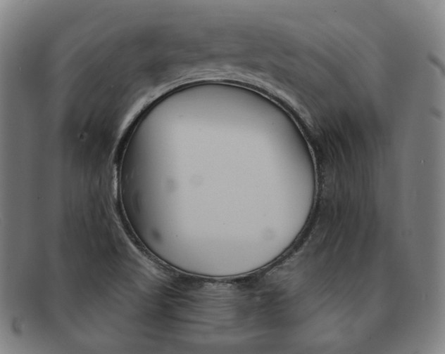 X0000092111509200709121119