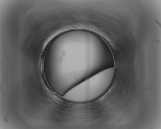 X0000092111510200709121119