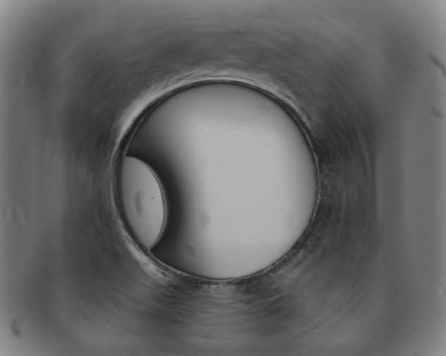 X0000092111511200709121119