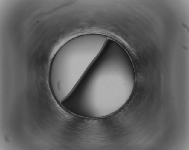 X0000092111512200709121119