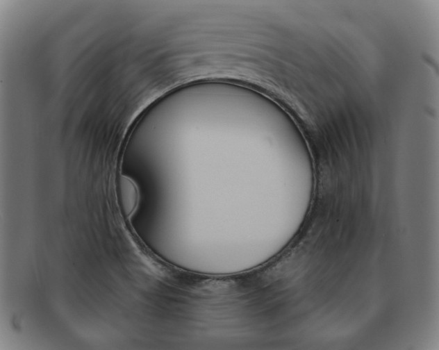 X0000092111513200709121119