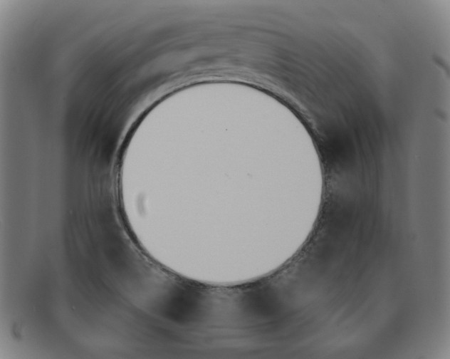 X0000092111514200709121119