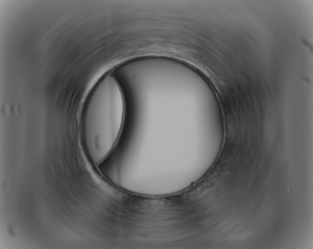 X0000092111515200709121119