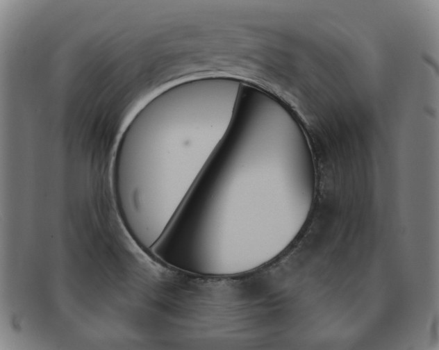 X0000092111516200709121119
