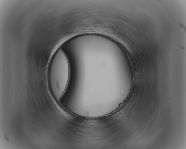 X0000092111517200709121119