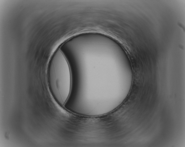 X0000092111519200709121119