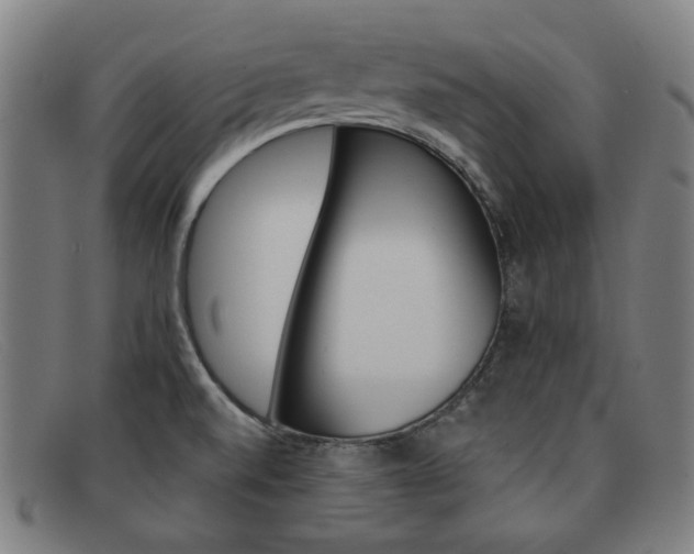 X0000092111520200709121119