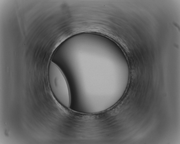 X0000092111521200709121119