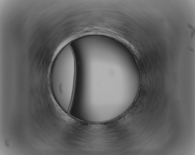 X0000092111522200709121119
