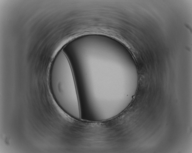 X0000092111523200709121119