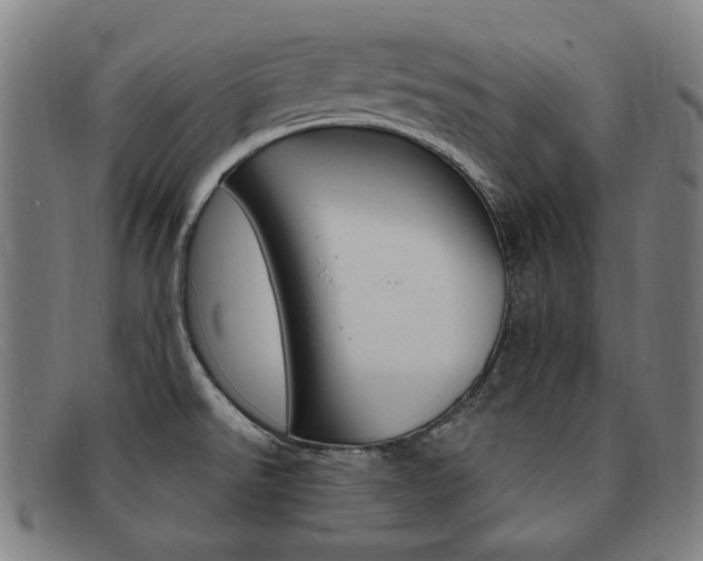 X0000092111526200709121119
