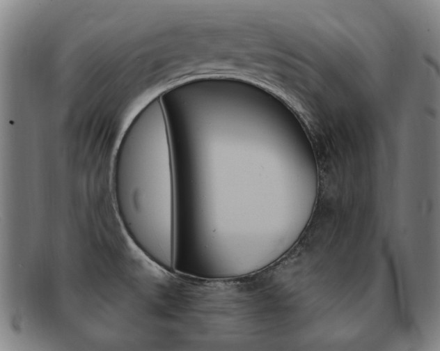 X0000092111527200709121119