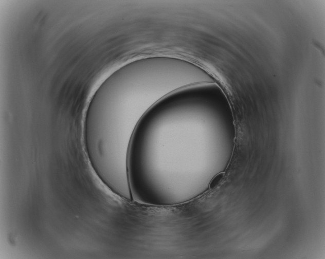 X0000092111528200709121119