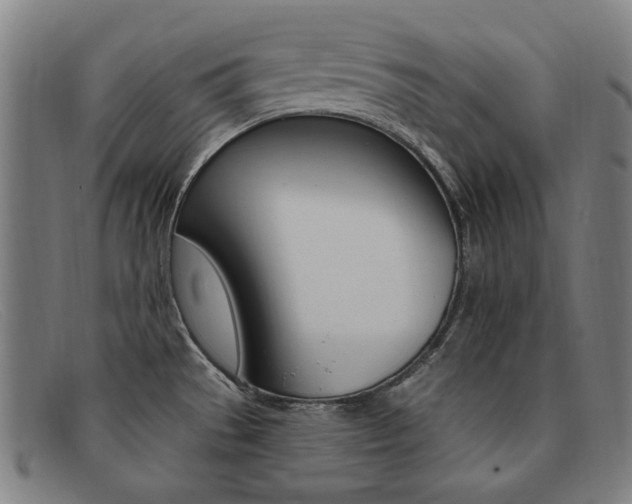 X0000092111529200709121119