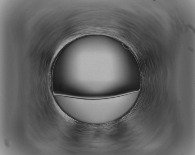 X0000092111531200709121119