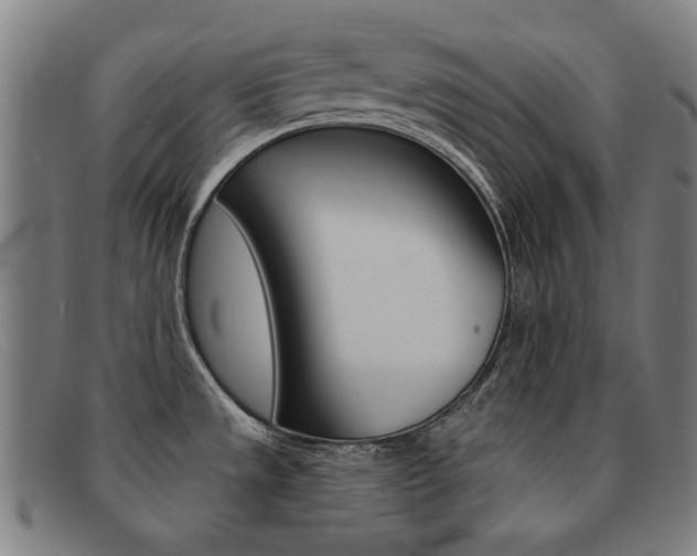 X0000092111533200709121119