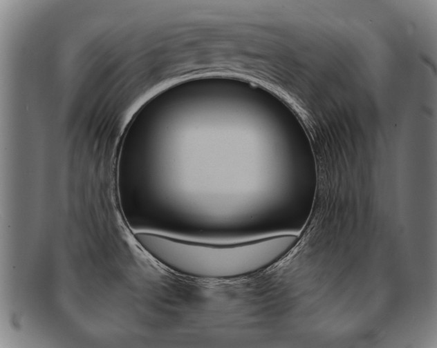 X0000092111534200709121119