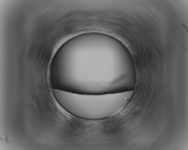 X0000092111535200709121119
