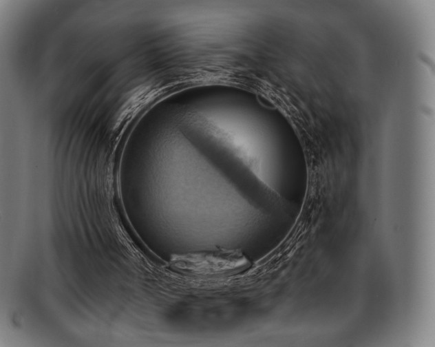 X0000092110002200709121627