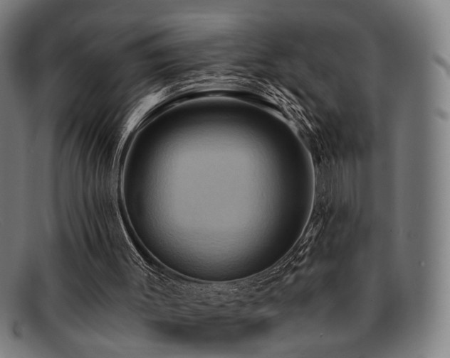 X0000092110003200709121627