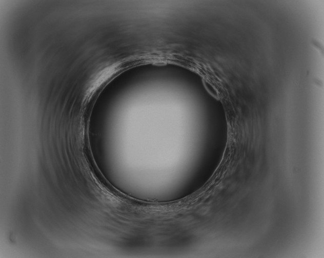 X0000092110005200709121627