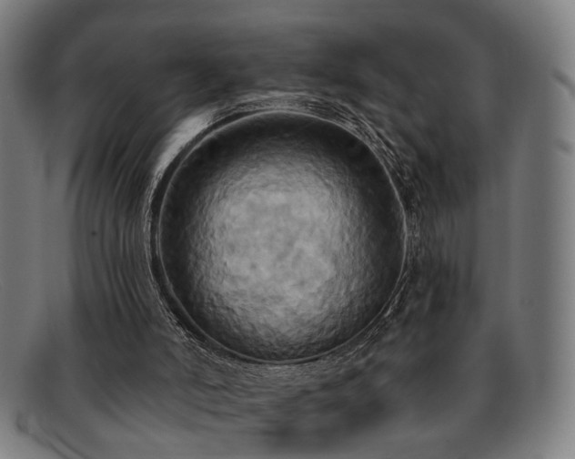 X0000092110006200709121627