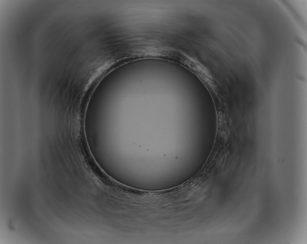 X0000092110012200709121626