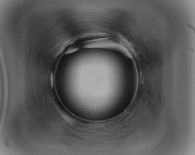 X0000092110013200709121626