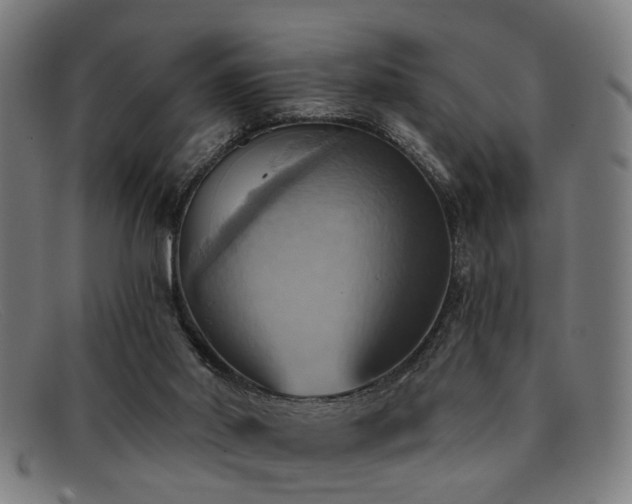 X0000092110014200709121626