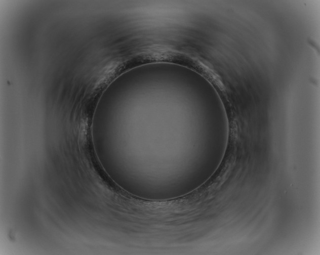 X0000092110018200709121626