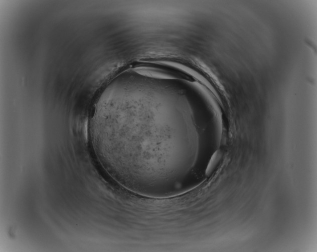 X0000092110019200709121626