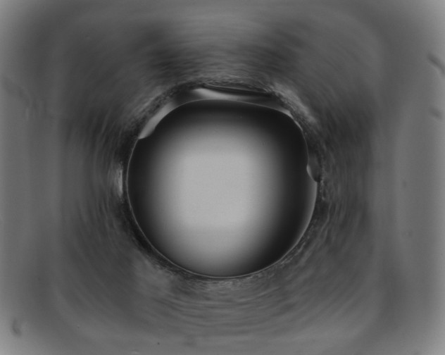 X0000092110021200709121626