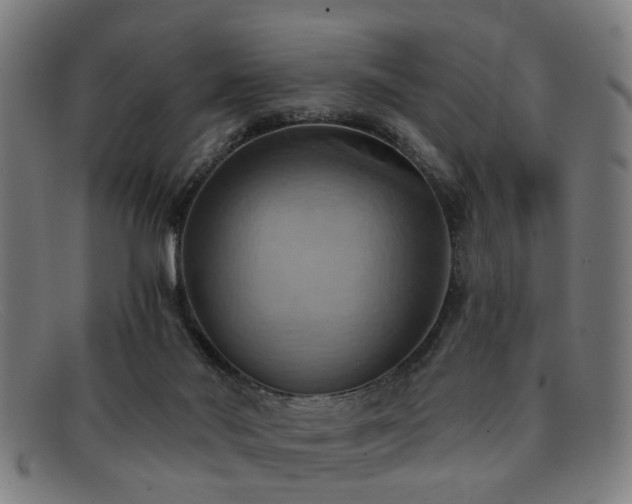 X0000092110022200709121626