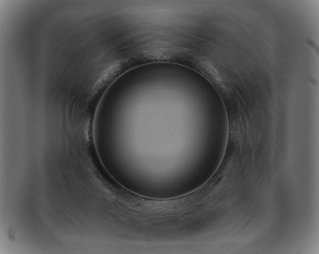 X0000092110023200709121626