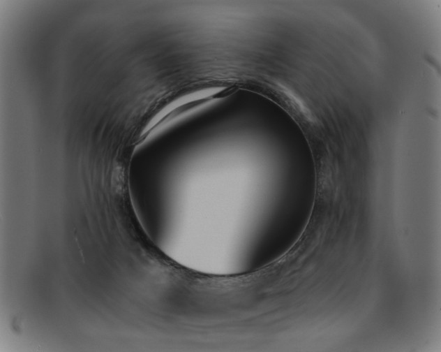 X0000092110025200709121626