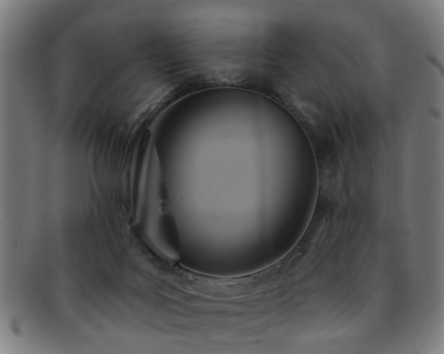 X0000092110027200709121626