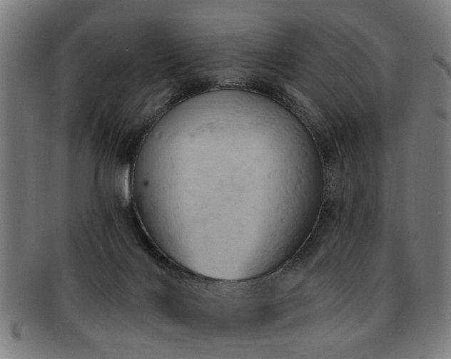 X0000092110028200709121626